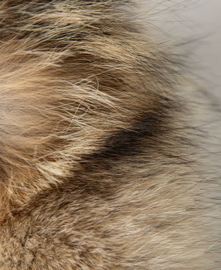 Polar Down parka - Olive