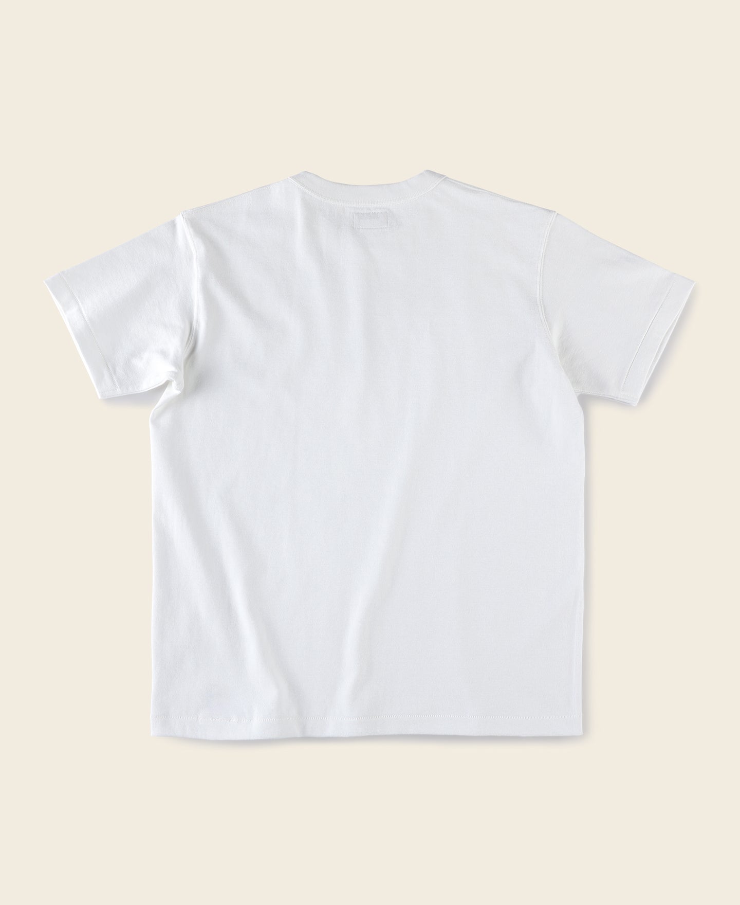 white blank t shirt front and back